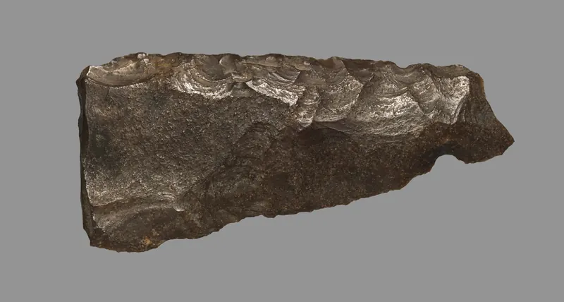 Palaeolithic flint hand axe