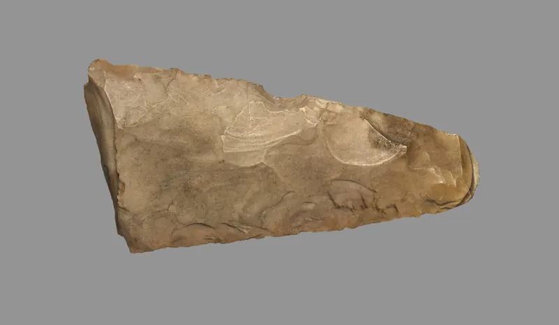 Stone hand axe, one of the earliest worked tools