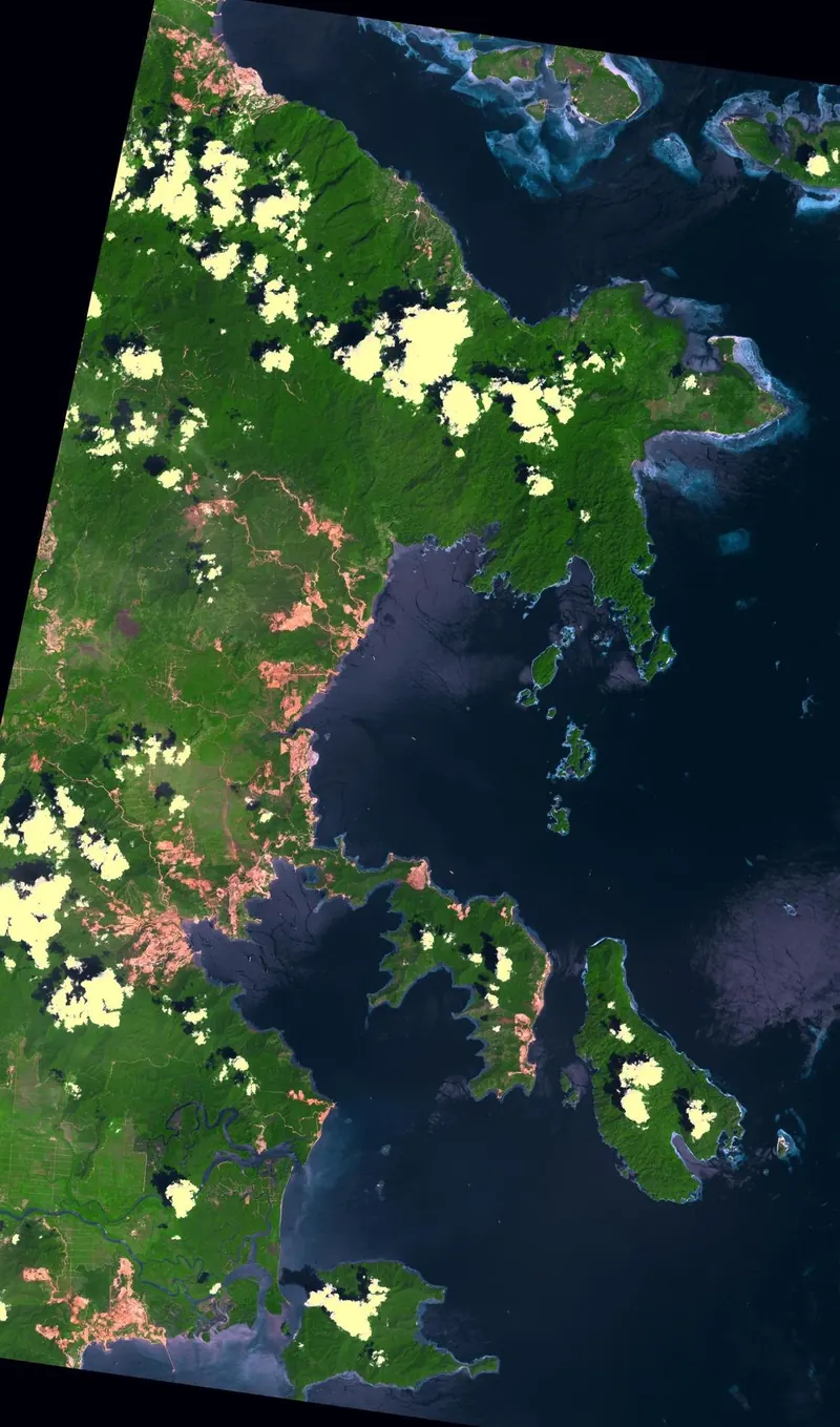 Satellite image of Sulawesi, Indonesia