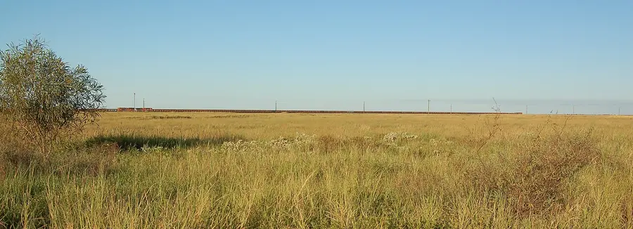 A train of ore wagons stretching across a flat grassy plain to the horizon