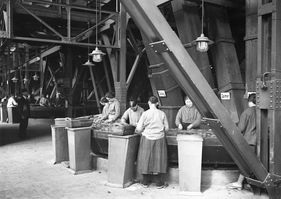 Women at sorting tables under steel chutes, picking through ore